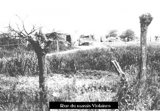 Ne pas oublier photos Violaines 1914 1918